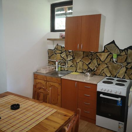Apartament Vikendica Kod Brice Jevtici Zewnętrze zdjęcie
