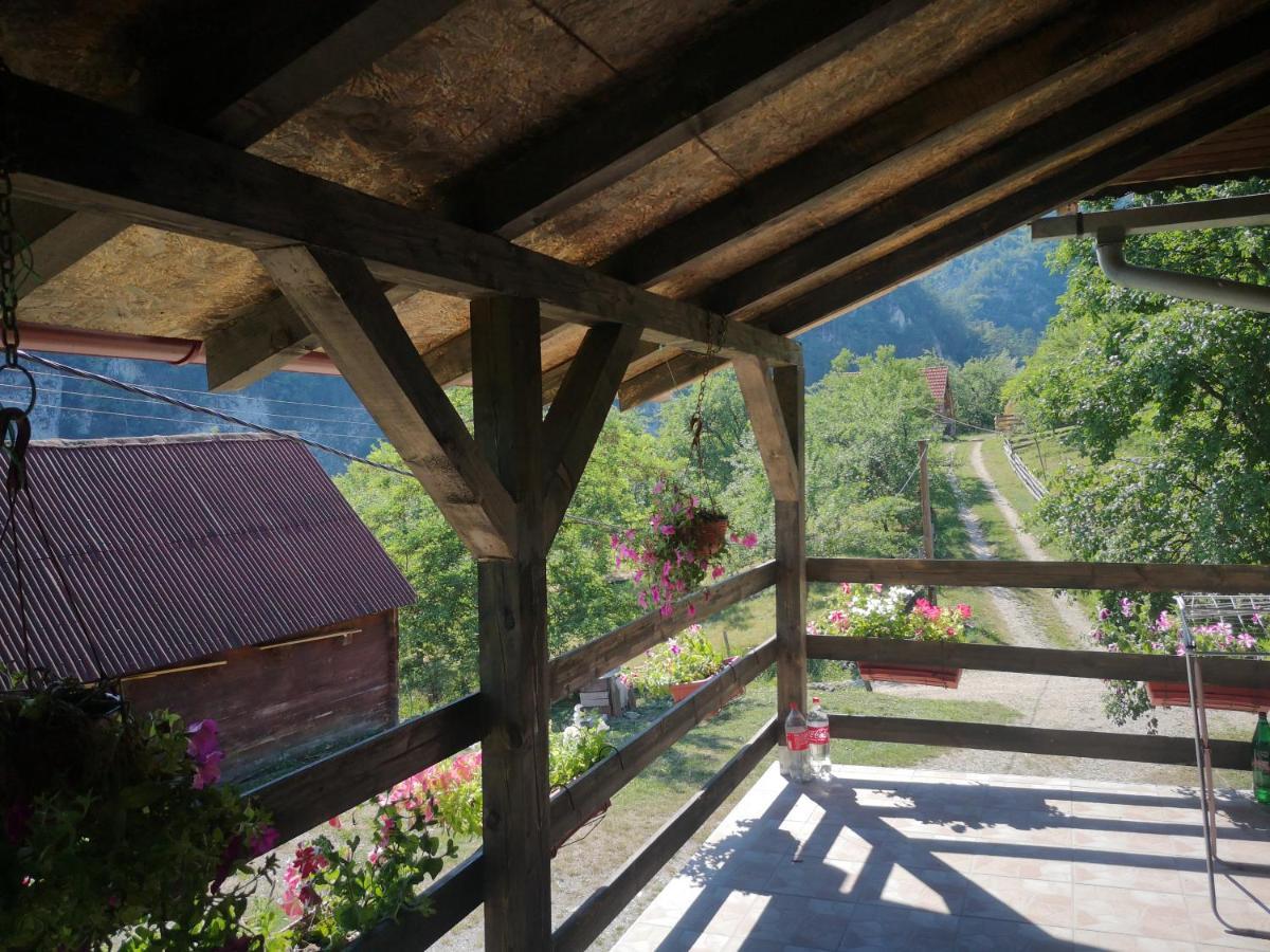 Apartament Vikendica Kod Brice Jevtici Zewnętrze zdjęcie