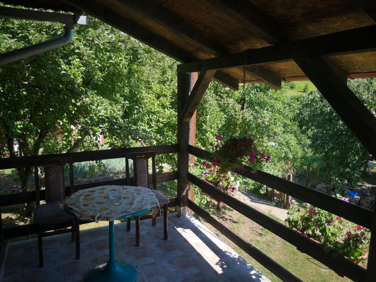 Apartament Vikendica Kod Brice Jevtici Zewnętrze zdjęcie