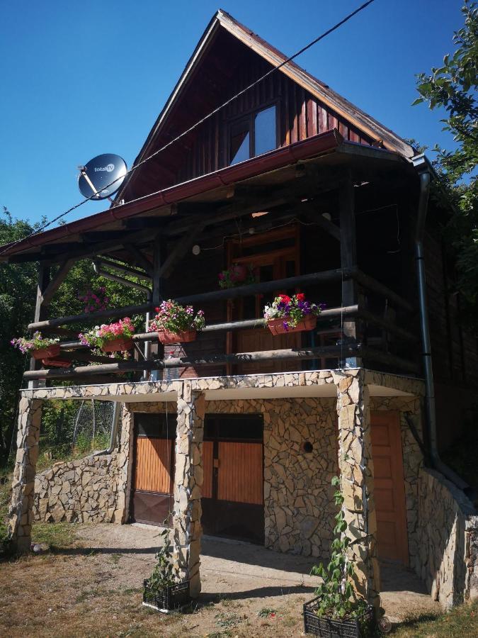 Apartament Vikendica Kod Brice Jevtici Zewnętrze zdjęcie