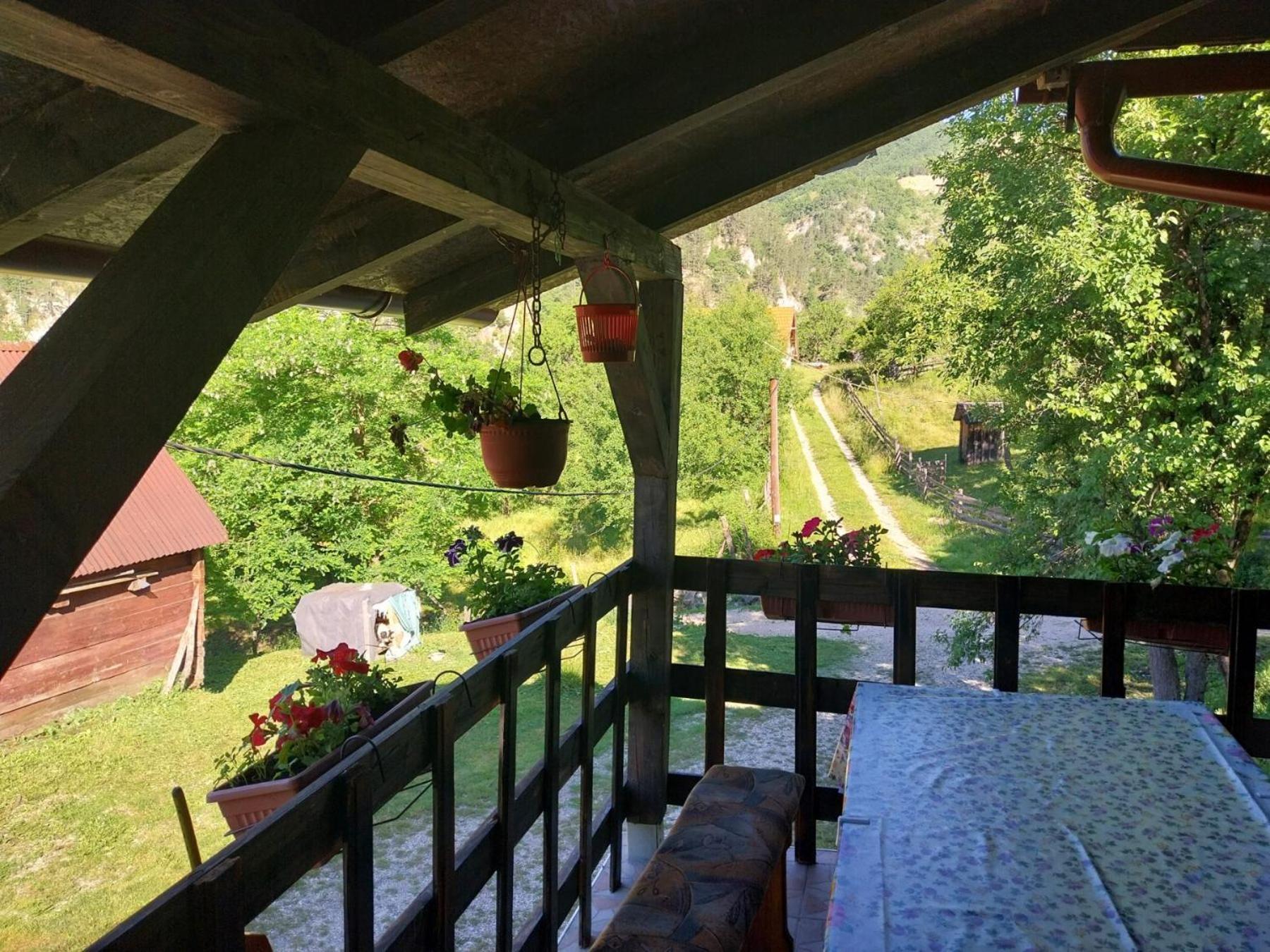 Apartament Vikendica Kod Brice Jevtici Zewnętrze zdjęcie